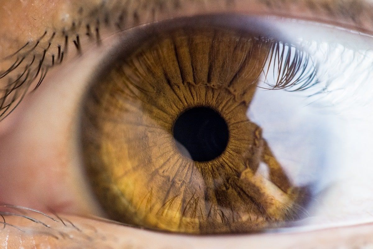 rôle de la mélanine pour les yeux