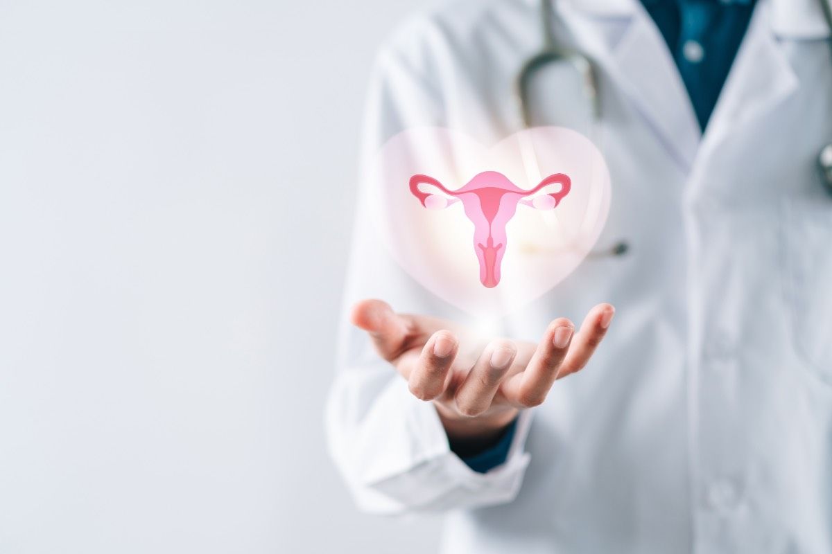 médecin blouse blanche tenant un système de reproduction utérin concept oestrogènes naturels