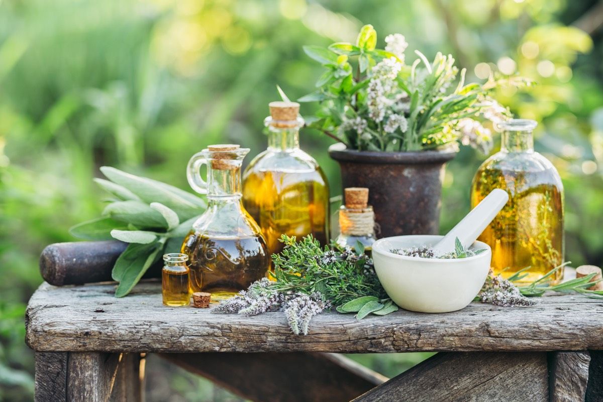 des plantes et differents types dhuiles sur une table en bois