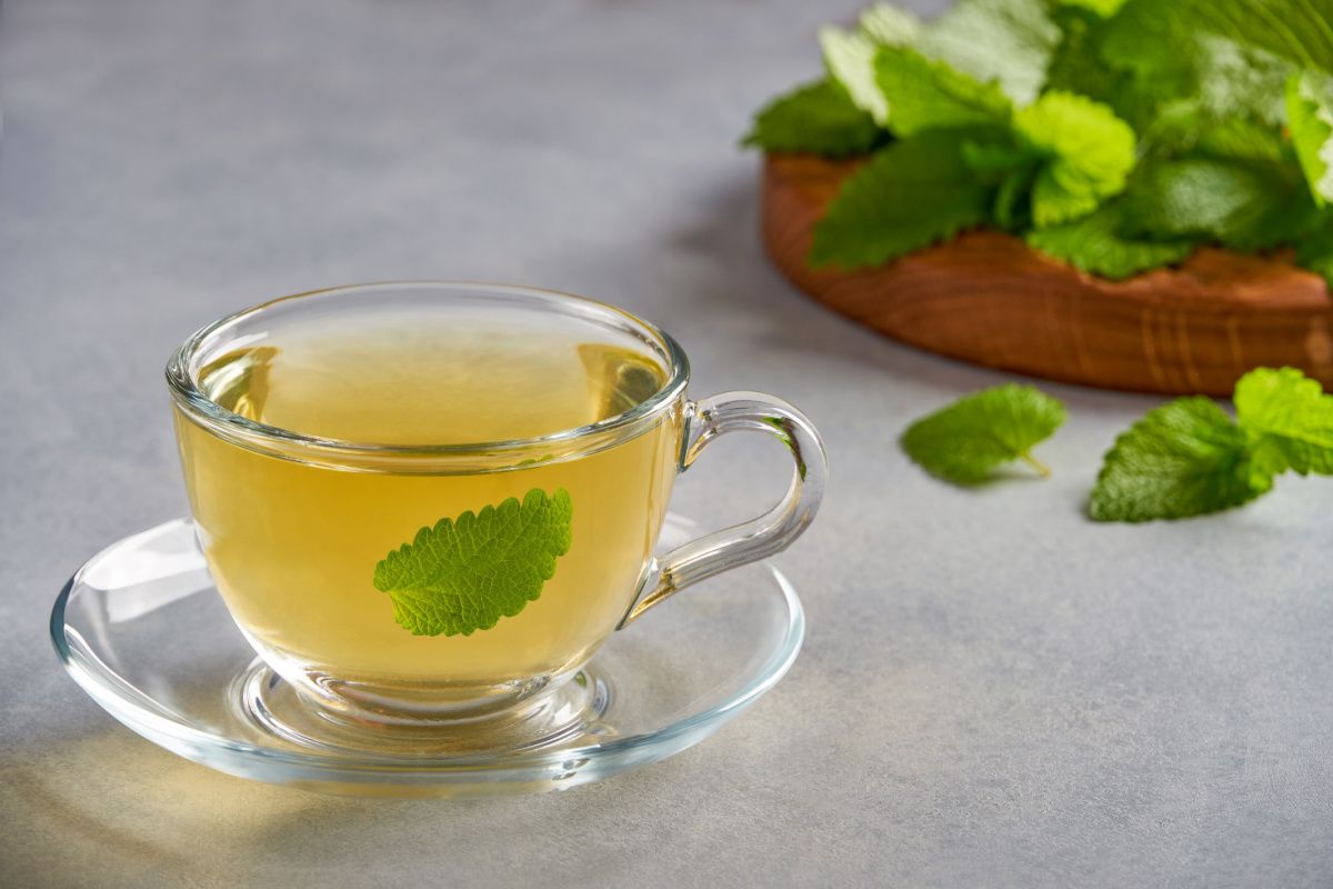 tasse transparente avec une Tisane à la mélisse, feuille de mélisse en arrière plan