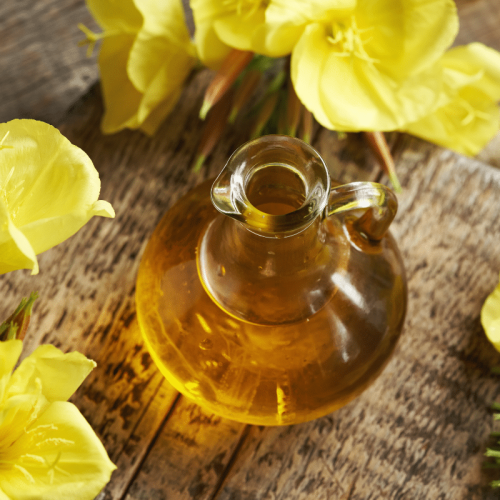 Huile d'onagre dans une cruche en verre avec une plante fraîche en fleur