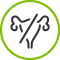 Sans hormone/phytohormone