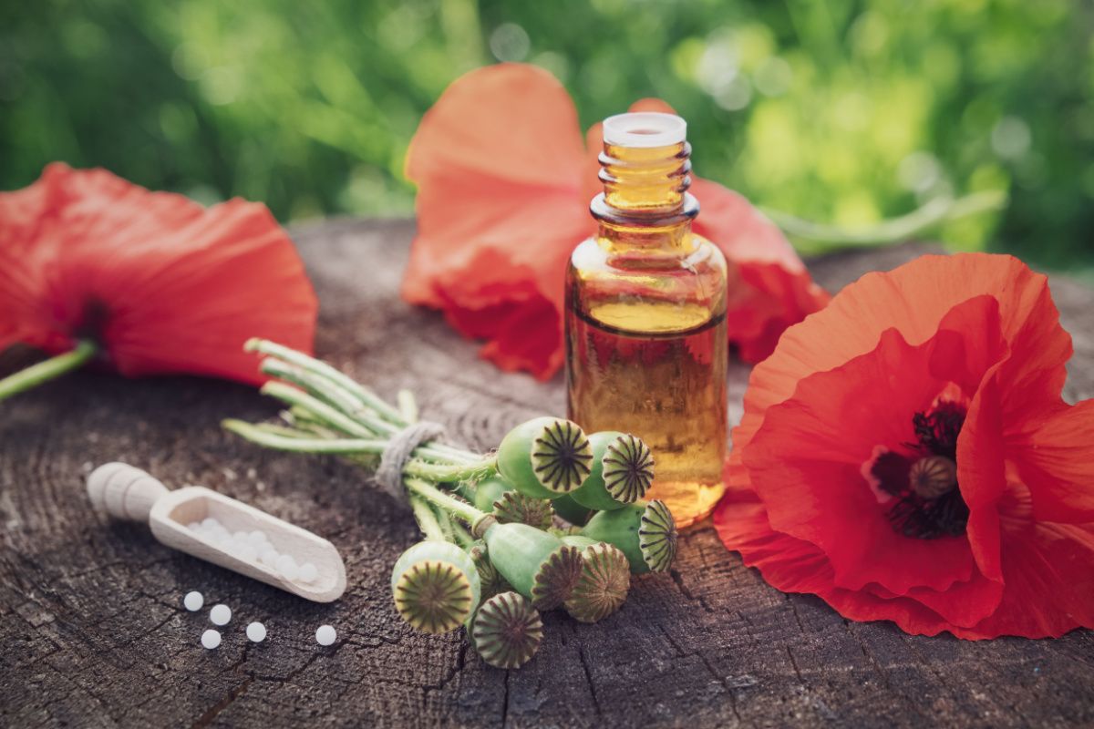 petit bocal avec de l'extrait de Coquelicot médicinal, fleurs de Coquelicot autour, et granules homéopathiques