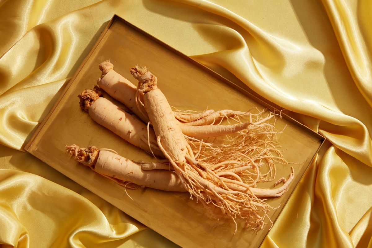 Vertues aphrodisiaques ginseng